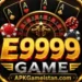 E9999 Game